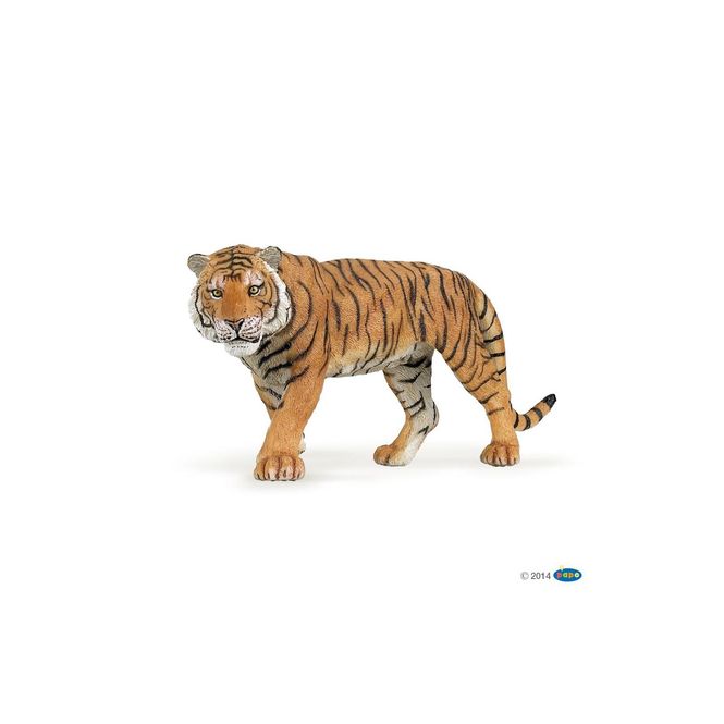 Hovedbilde Tiger