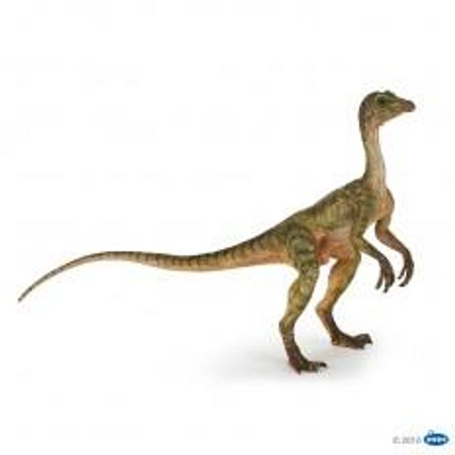Hovedbilde Compsognathus