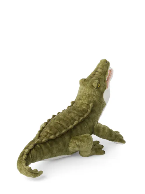 Hovedbilde WWF Crocodile